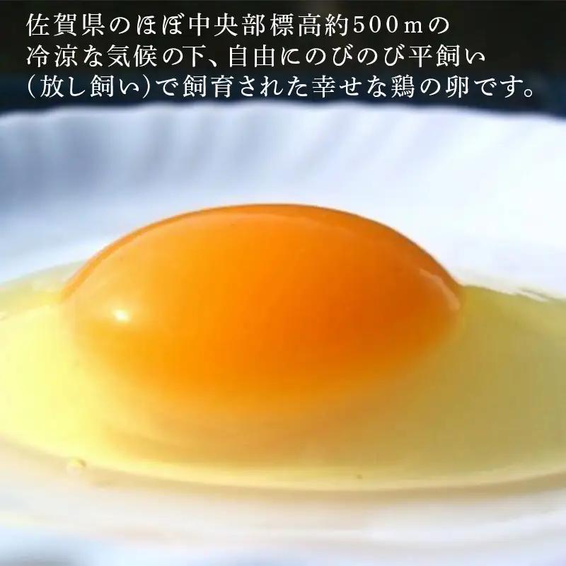 放し飼い！七山たまご 20個箱×2(合計40個) (Ｍ~Ｌサイズ相当) 玉子 生卵 鶏卵 佐賀県唐津産