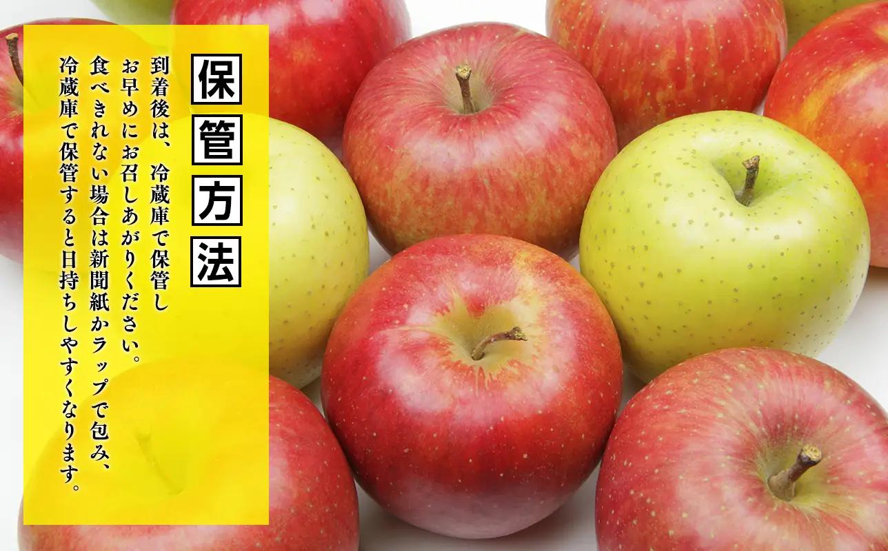 １１月発送　特選　甚八りんごぐんま名月３kg　【青森県 平川市 マルジンサンアップル】[hi-0058-055]