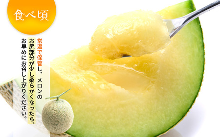 【先行予約】メロンの王様！アールスメロン 2玉入 2～4L 〈贈答用にも最適な最高級メロン〉／ 期間限定 果物 フルーツ 高級メロン マスクメロン 青肉 産地直送 ※2024年7月上旬より順次発送