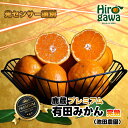 【ふるさと納税】 鹿蔵 プレミアム 有田みかん ( 完熟 ) 光センサー 選果　※北海道・沖縄・離島への配送不可 / 温州 みかん 厳選 柑橘 果物 フルーツ 和歌山 ※11月中旬〜翌年1月下旬頃に順次発送予定 //mandarin