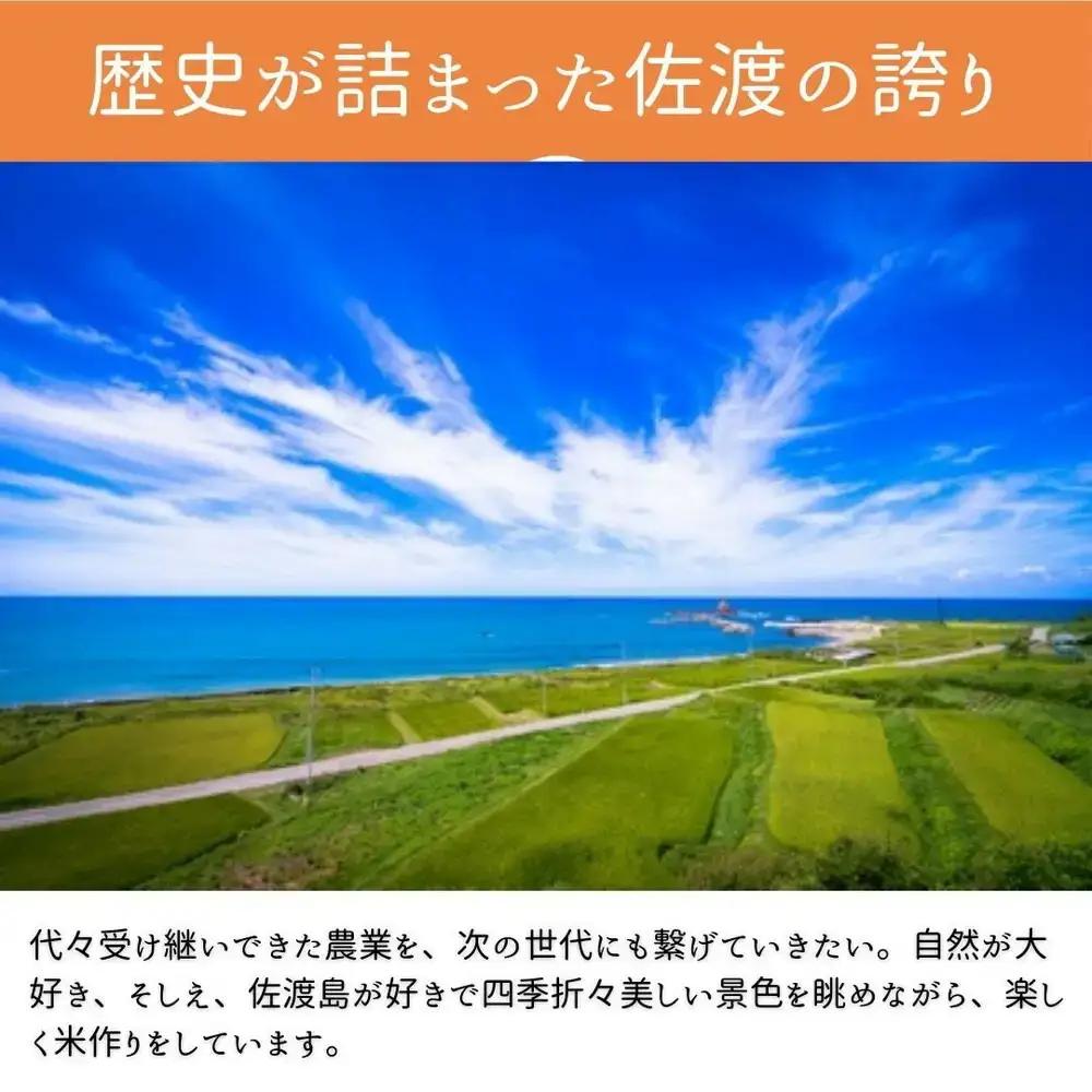 コシヒカリ 無洗米 5kg 令和8年産 | 新潟県 佐渡市 無洗米