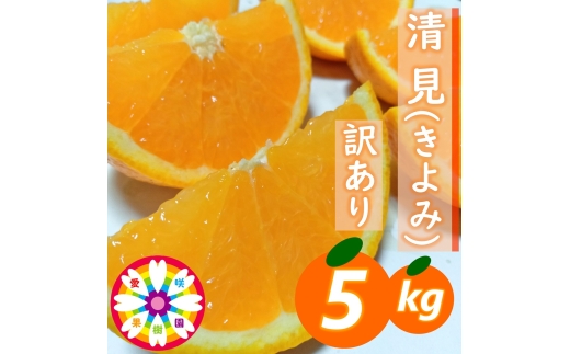 【先行受付】愛咲果樹園「清見」訳あり 約5kg【71-50】YWTS062