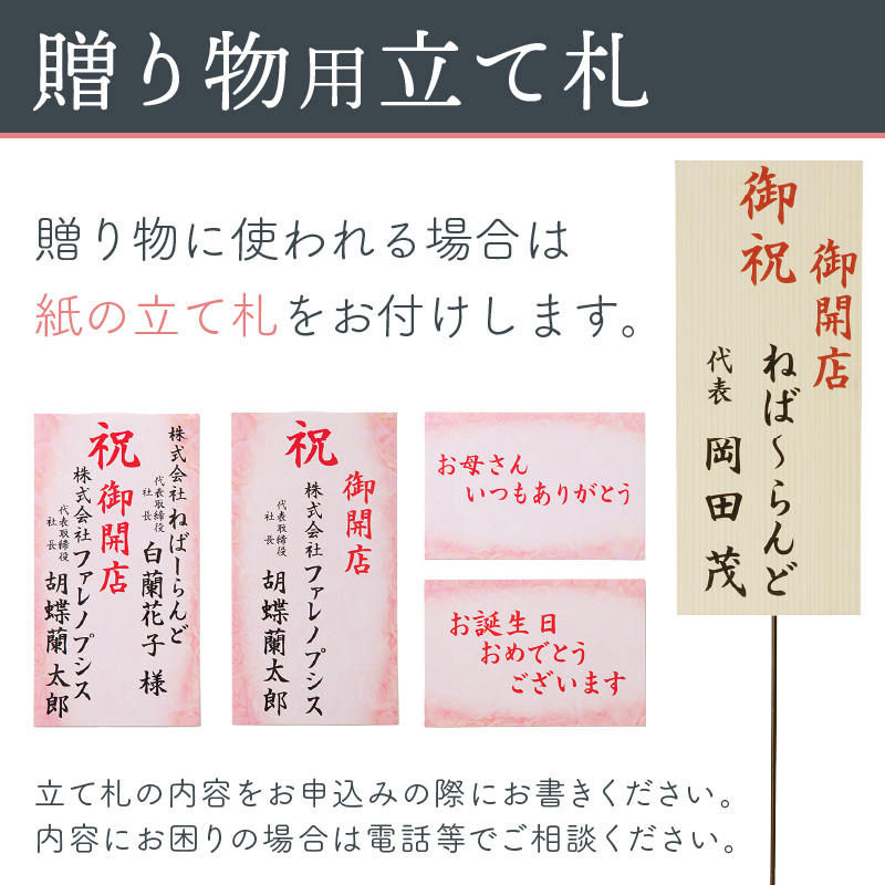 アレンジミディ胡蝶蘭 2本立（アーチ） ※お届け不可地域あり【008C-010】