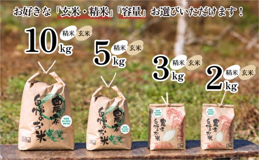 【12月発送】茨城県下妻市産 なごみ米（ コシヒカリ ） 精米 10kg 【 お米 コシヒカリ 米 無農薬 無化学肥料 無除草剤 精米 自然 農法 茨城県産 】