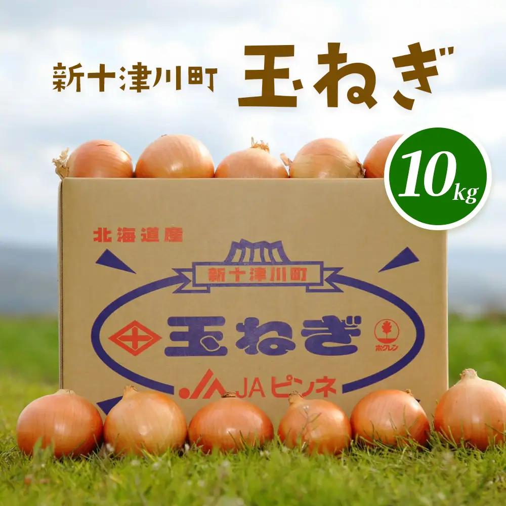 【先行受付】玉ねぎ Lサイズ（10kg）【令和8年10月～12月中旬発送】【1200102】