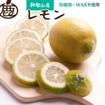 ふるさと納税 湯浅町 レモン5kg+250g(傷み補償分)【和歌山有田産】【防腐剤・WAX不使用、安心の国産レモン】