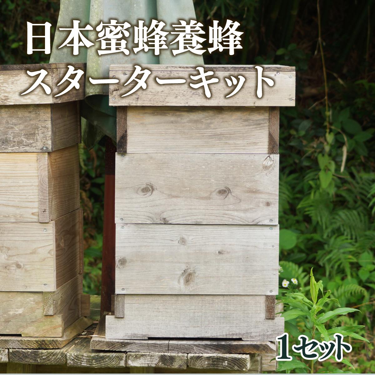 【ふるさと納税】サポートも致します「日本蜜蜂養蜂スターターキット」【Qcompany】【P-D1】