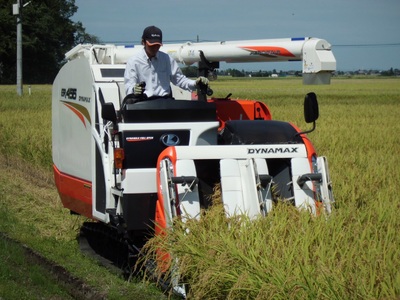 【令和7年産新米予約】【3ヶ月定期便】 旧笹神村産 コシヒカリ 2kg×3回 合計6kg 白米 上泉 農家直送 コメドック 金賞 10月中旬より順次発送予定 1Q16033