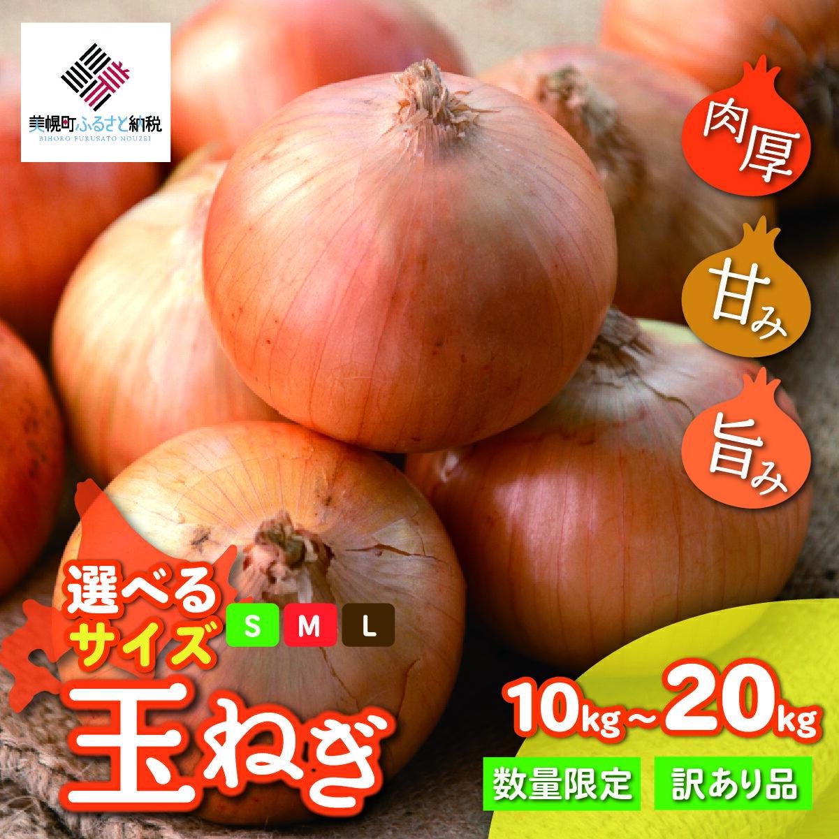 【ふるさと納税】【令和7年産 先行予約】玉ねぎ選べるサイズ 10kg ～ 20kg（2025年12月～2026年2月より順次発送）【 ふるさと納税 人気 おすすめ ランキング たまねぎ 玉ねぎ 玉ネギ タマネギ 玉葱 オニオン サラダ 焼き肉 BBQ スープ 国産 野菜 北海道 美幌町 送料無料 】