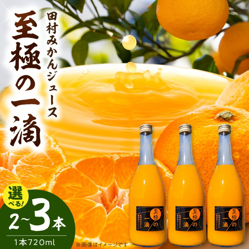 【ふるさと納税】田村みかん ジュース 至極の一滴 720ml 選べる 内容量 2本 3本 温州みかん 果汁 100％ ストレートジュース みかんジュース 柑橘 ジューシー 低温殺菌 国産 飲料 飲み物 ドリンク お取り寄せ 和歌山県 湯浅町 送料無料