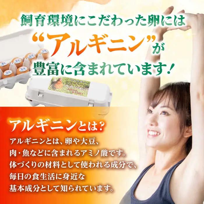 【全12回定期便】アルギニン元気たまご20個【浅田峠自然塾】[EA04] 卵 定期便 卵 平飼い卵 たまご