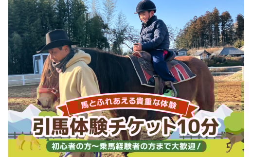 ★ROCKY★ 引馬体験チケット 10分 体験 チケット 券 引馬 馬 うま ウマ 子供 大人 初心者 経験者 歓迎 92-A