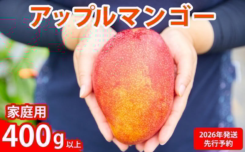 
                  【2026年発送先行予約】アップルマンゴー優品400g以上 沖縄 おきなわ 自分用 名護市 先行予約 ふるさと納税 送料無料 甘味 糖度 おいしい お土産 アーウィン 果物 くだもの 果実 400グラム スイーツ 食べ物 フルーツ マンゴー
                
