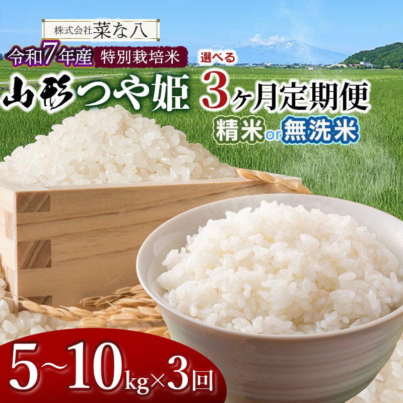 【ふるさと納税】【定期便】令和7年産　特別栽培米 山形つや姫　お選びください［5kg〜10kg／精米・無洗米］×3ヶ月 ごはんソムリエ監修　一等米　2025年