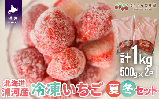 
北海道浦河産 冷凍いちご＜夏・冬＞セット(500g×2P)[13-1129]
