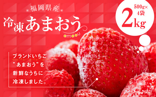 
福岡県産 冷凍 あまおう 合計2kg (500g×4袋) いちご 苺 フルーツ
