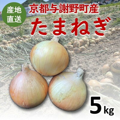 【ふるさと納税】玉ねぎ 京都与謝野町のこだわり栽培たまねぎ 【AGRIST】(約5kg～)【G1754648】