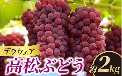 【先行予約  2026年収穫分】高松ぶどう デラウェア 約2kg入り（およそ9～10房） 1箱 ｜ デラウエア デラウェア ぶどう ブドウ 葡萄 フルーツ 果物 果実 くだもの 人気 種なし 種無し グレープ 石川産 石川県産 かほく市産 夏