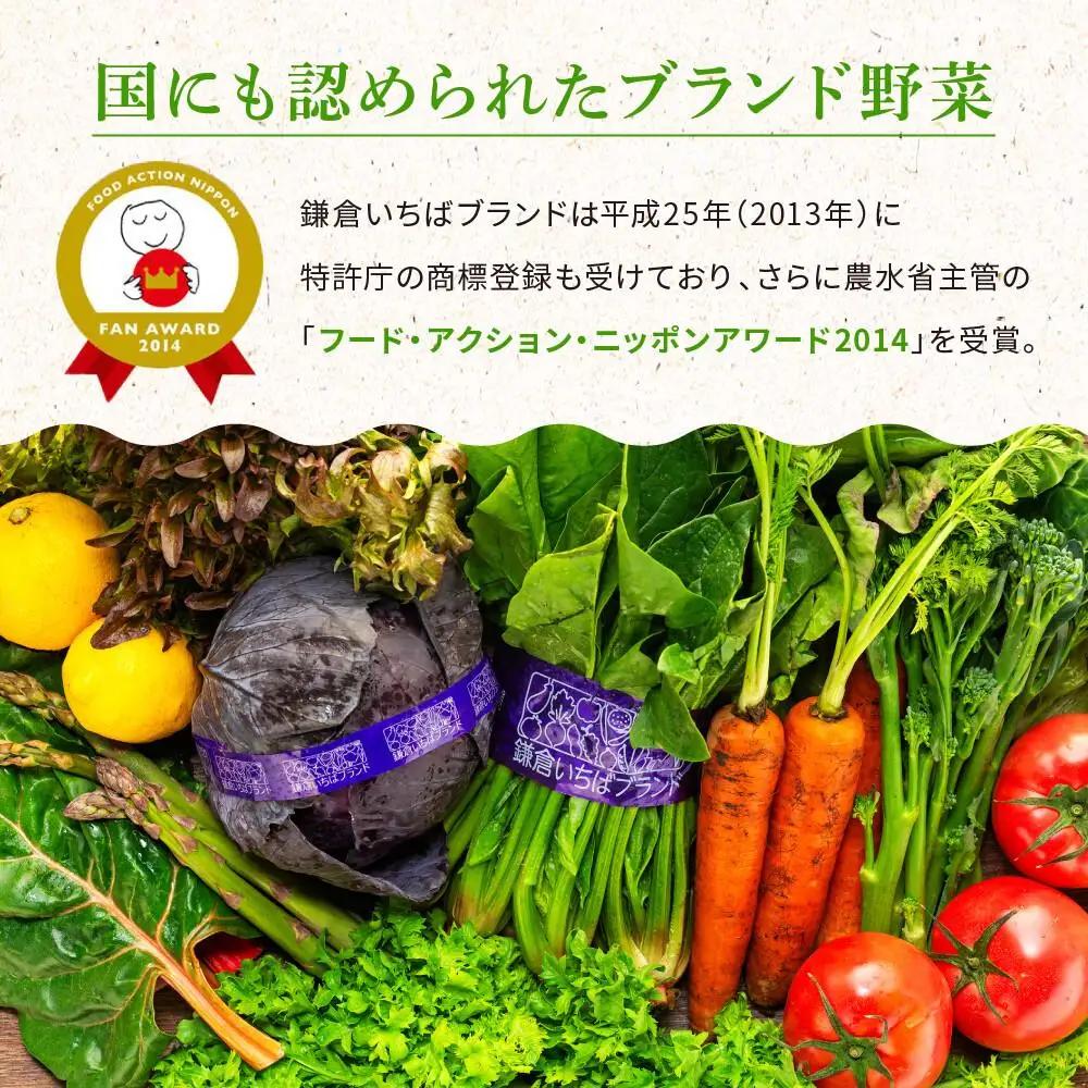 【ふるなびWEEK対象】「鎌倉いちばブランド」新鮮お野菜詰め合わせセット 10～15品 | 野菜 人気 詰合せ