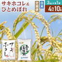 【ふるさと納税】《定期便10ヶ月》【白米】令和6年産 サキホコレ2kg・土づくり実証米ひとめぼれ2kg (計4kg) ×10回 計40kg 精米 特A評価米 秋田県産