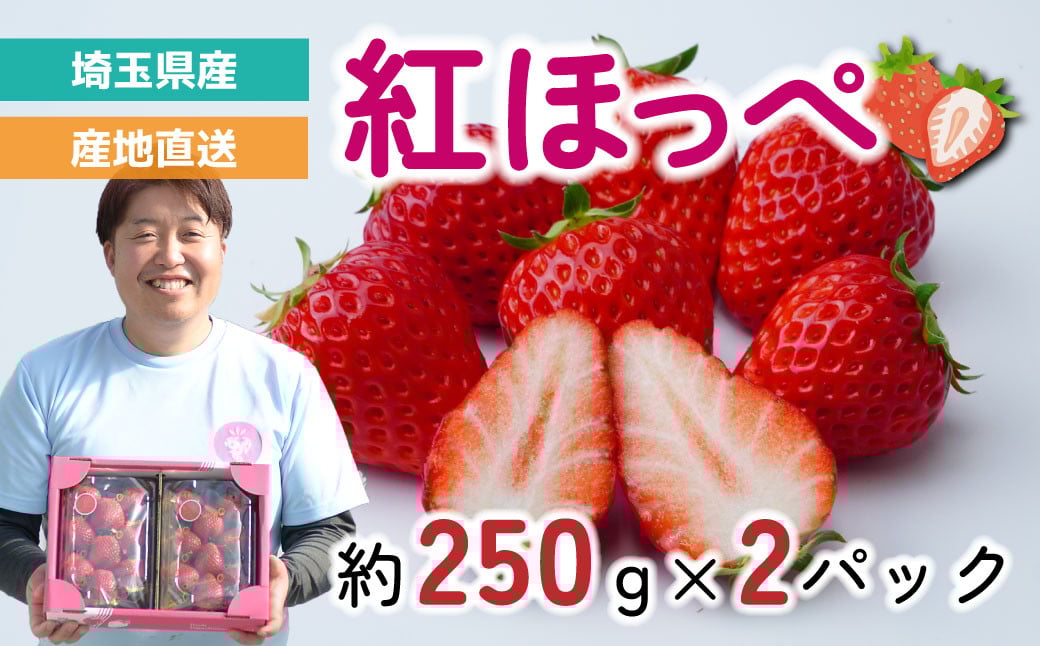 
            いちご 【先行予約】 紅ほっぺ 2パック 約500g (1パック 約250g 4〜12粒) | 紅ほっぺ いちご イチゴ 苺 大粒 甘い おいしい 美味しい 見た目 新鮮 季節限定 期間限定 数量限定 限定 食味の良い 甘み 甘さ 果実 食べやすい フルーツ ギフト 贈り物 贈答 フルーツギフト 国産いちご 旬の果物 果物 産地直送 solfarm 埼玉県 東松山市
          