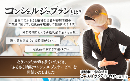 コンシェルジュプラン 寄付額30万円コース KN000-CP030 コンシェルジュ プラン 選べる コース うなぎ 肉 牛 豚 鶏 魚 かんぱち 酒 焼酎 菓子 スイーツ 惣菜 総菜 野菜 日用品 お