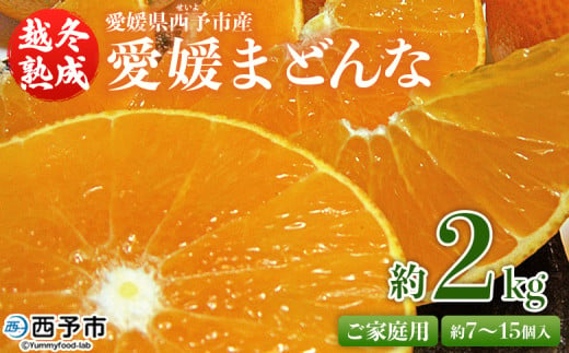 紅まどんなと同品種！＜愛媛県西予市産 越冬熟成 愛媛まどんな ご家庭用 約2kg＞ 訳あり みかん 蜜柑 ミカン 柑橘 果物 フルーツ 愛媛果試第28号 期間限定 マドンナ 愛媛マドンナ