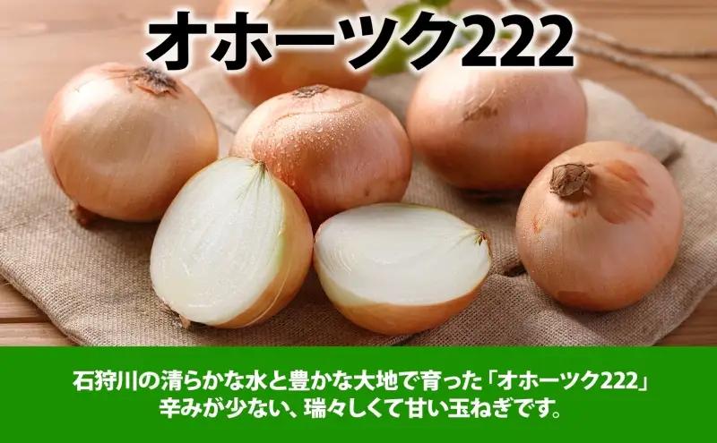 北海道 新しのつ産 手塚さんちのたまねぎ M～Lサイズ 約5kg オホーツク222 玉ねぎ 玉葱 タマネギ オニオン スライス 旬 農作物 野菜 サラダ みずみずしい シャキシャキ 甘い 北海道産 産