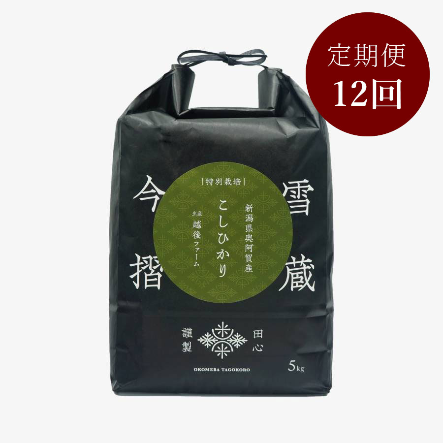 今摺米 特別栽培 新潟県奥阿賀産こしひかり5kg（生産者：越後ファーム）定期便12回