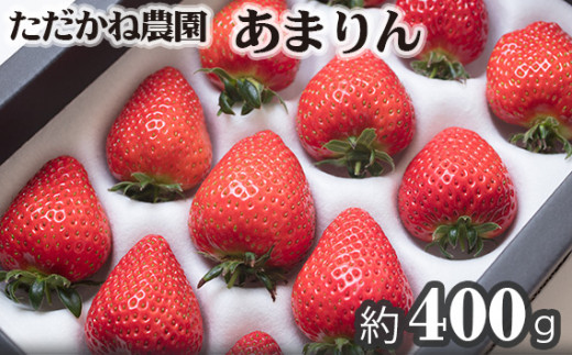 あまりん　ただかね農園　約400g ／ 果物 フルーツ 苺 いちご イチゴ 厳選 朝採り 新鮮 産地直送 産直 甘い おいしい デザート 埼玉県 秩父 No.228