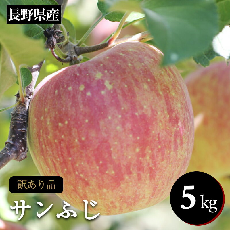 【ふるさと納税】 訳あり りんご サンふじ 訳あり品 長野県産 サンふじ 約5kg ＜2026年1月上旬～2月上旬発送＞ | 果物 くだもの フルーツ 訳あり サンふじ サンフジ りんご リンゴ 林檎 長野県 信州 南信州 飯田市 B48