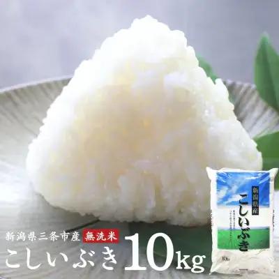無洗米 こしいぶき 10kg 新潟県三条市 令和7年産