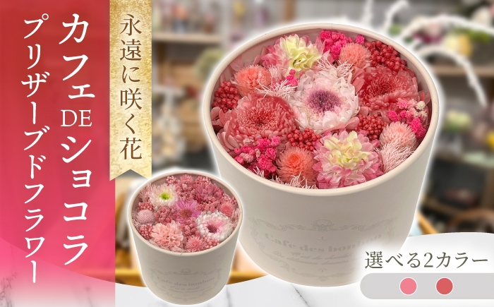 
                  カフェDEショコラ プリザーブドフラワー アレンジメント お花ギフト / 大村市 サニーサイドファクトリー [ACCK053]
                