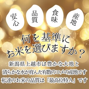 令和8年産【11月中旬配送】 新米 先行予約 新潟県産 コシヒカリ 5kg 最高品質のお米を追求し続ける 篠宮農場 上越市 精米