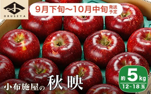 秋映 約5kg 12～18玉 ［小布施屋］  りんご 林檎 リンゴ 果物 フルーツ 令和6年産【2024年9月下旬～10月中旬発送】［A-206］