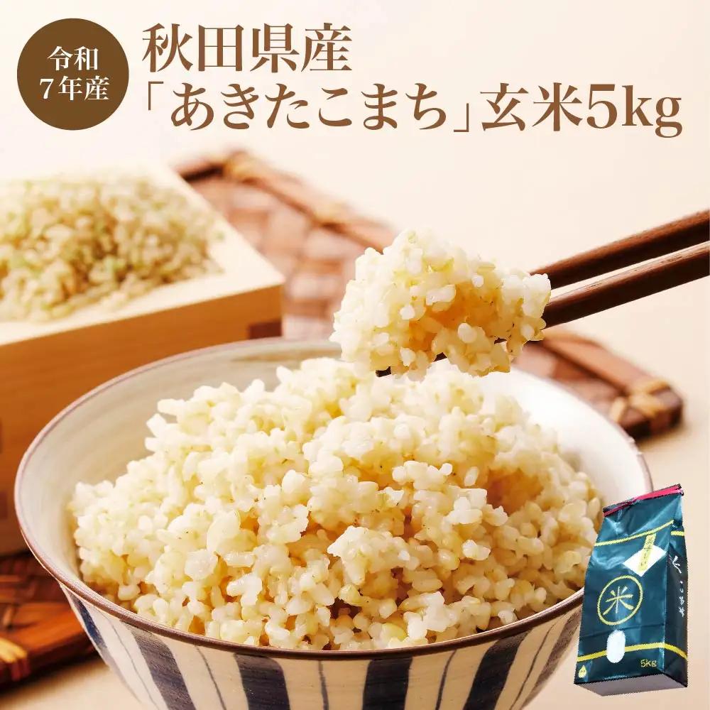 【令和7年産】秋田県産「あきたこまち」玄米5kg（5kg×1袋）　【90P9036】