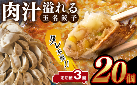 【定期便3回】タレ不要！！ 肉汁 溢れる『 玉名餃子 』 20個 | 餃子 ぎょうざ お手軽 小分け 冷凍 冷凍食品 おかず 豚肉