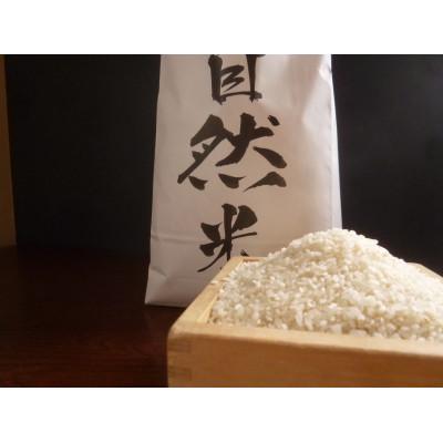 ふるさと納税 香取市 【毎月定期便】自然米 (白米5kg)全3回