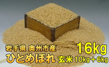 人気沸騰の米 令和7年産 岩手県奥州市産ひとめぼれ 玄米 16kg [AC016]
