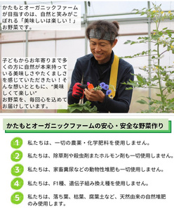 にんにく 1kg かたもとオーガニックファーム ニンニク