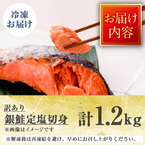 ＜訳あり＞チリ産銀鮭定塩切身(1.2kg) 鮭 さけ しゃけ サーモン 魚 魚介類 冷凍 塩鮭 切り身 【sm-BO009】【門永水産】