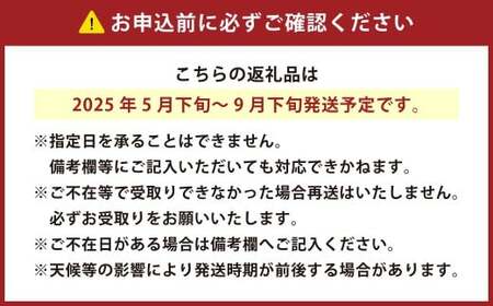 水なす なすび屋さんの浅漬け 計約1.75kg（約350g×5袋） 水茄子 水ナス なす ナス 茄子 なすび 浅漬け 漬物 漬け物 つけもの 【2025年9月下旬までに発送予定】