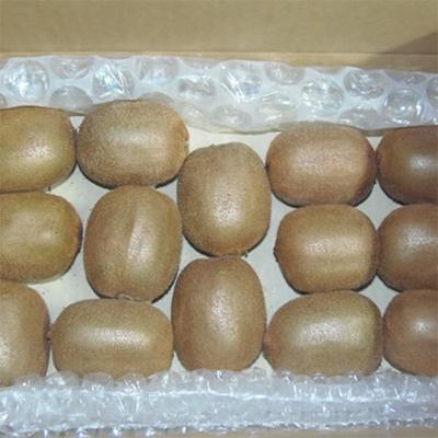 ふるさと納税 湯浅町 【1月より順次発送】有田でとれた完熟キウイフルーツ約2kg(M〜3Lサイズ混合) |  | 03
