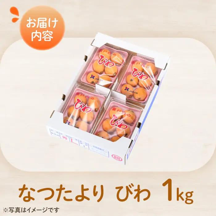 ＜先行予約！2027年5月下旬以降順次発送予定＞なつたより びわ(約1kg) 果物 フルーツ 産地直送 【man066】【Aglio nero】
