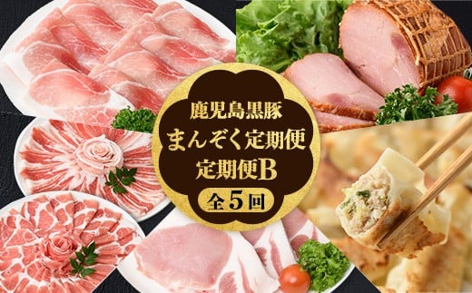 
                  D02007 ＜定期便・全5回＞かごしま黒豚まんぞく定期便B (月1回×5ヶ月) 鹿児島 国産 肉 豚肉 黒豚 焼豚 肩ロース ロース モモ 餃子 ぎょうざ しゃぶしゃぶ とんかつ セット 定期便【和田養豚】
                