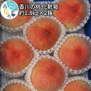 【ふるさと納税】香川の桃 化粧箱　約1.8kg×2箱【2025-6月中旬～2025-8月上旬配送】 | 果物 モモ フルーツ 瀬戸内 香川県 高松市