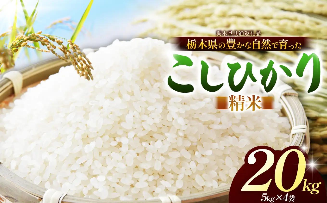 【栃木県共通返礼品】【令和８年度産】コシヒカリ 20kg お米  米 | 栃木県 那珂川町 送料無料