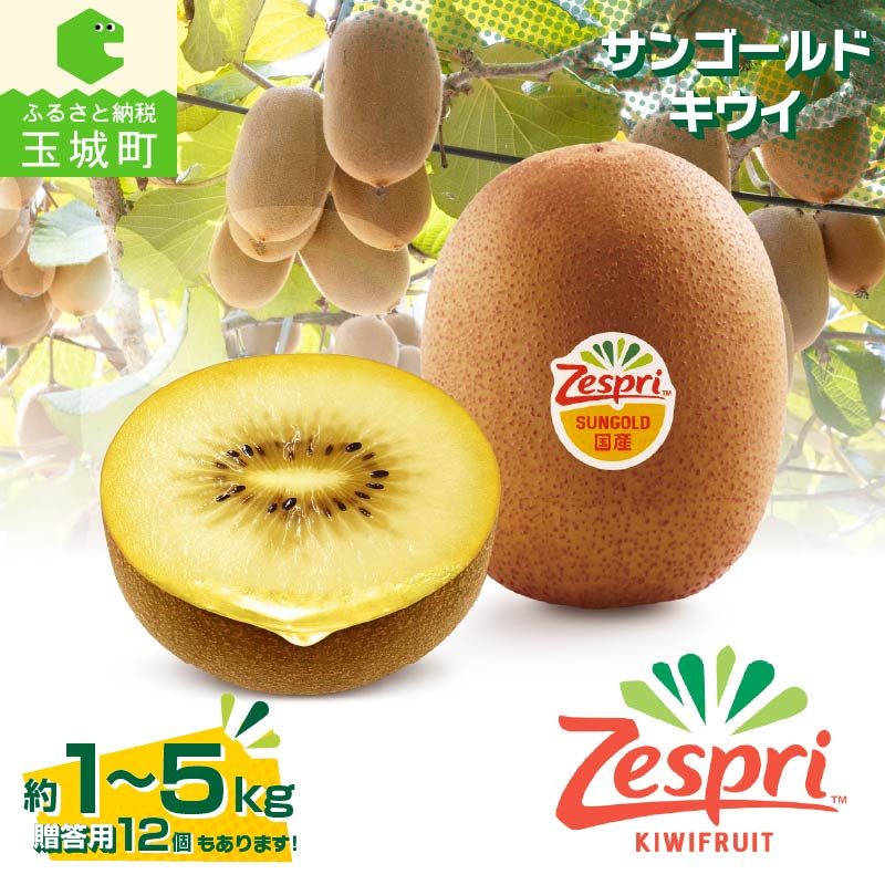 【ふるさと納税】【先行予約】 ゼスプリ サンゴールドキウイ 2026年度発送 Zespri キウイフルーツ キウイ 選べる数量 1kg 2kg 5kg 贈答 ギフト プレゼント フルーツ 果物 くだもの 数量限定 国産 三重県玉城町産 2026年12月上旬出荷 あさい農園 玉城町観光協会 三重県 玉城町
