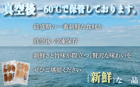 愛知県産平貝(タイラギ)干物　(塩味・醤油味　各1パック)セット冷凍 干物 貝 魚介類 醤油 塩 しお しょうゆ 平貝 タイラギ かい カイ 魚貝 魚介 海鮮 刺身 平貝 タイラギ たいらがい かい 