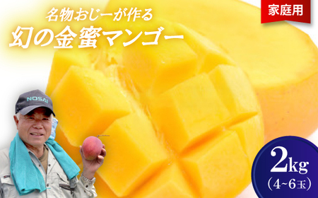 【2026年7月から順次発送・家庭用】名物おじーが作る幻の金蜜マンゴー2kg(4～6玉)【配送不可地域：離島】【1694702】